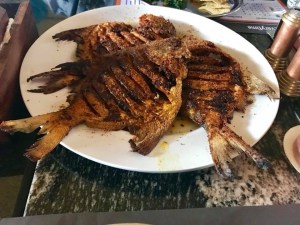 888EEC00-1870-45BF-BBF2-B770ED866C27